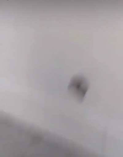 I haven’t had a laugh/jumpscare like this in a min ??