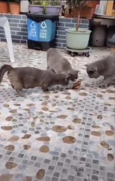 Maybe Maybe Maybe