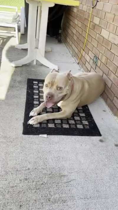 Somebody is not having it!