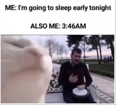 Vibing cat
