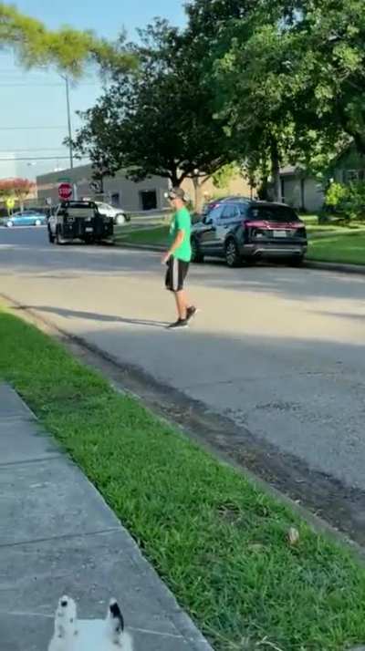 To walk the dogs in peace