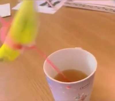 Maybe Maybe Maybe