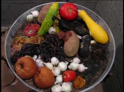 Timelapse of Fruit and Vegetables Decomposition