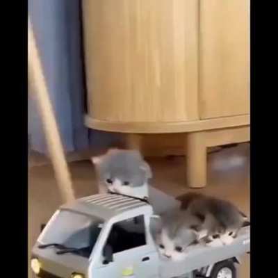 Towing criminals