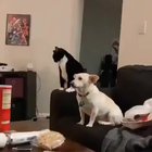 Trying to watch a movie with the wife