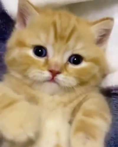Hug me