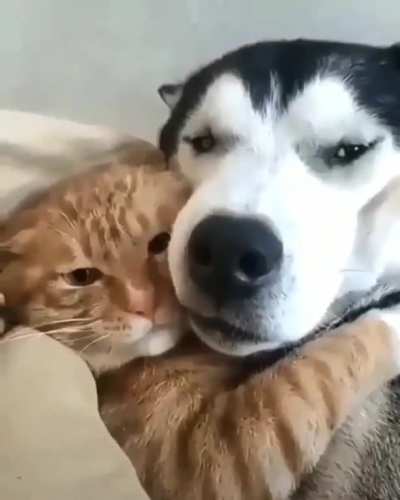 We are best buds !