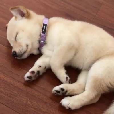 Sleep ?