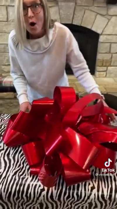 Best Christmas gift ever