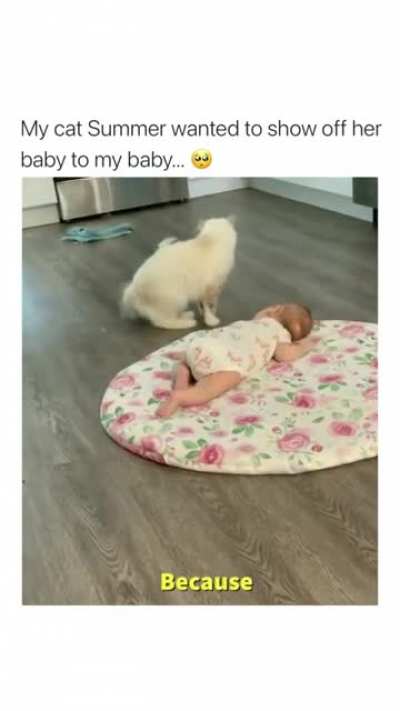 This made my day