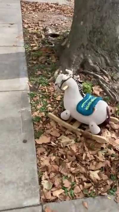 Good doggie wondering why there’s a tiny horse in NYC