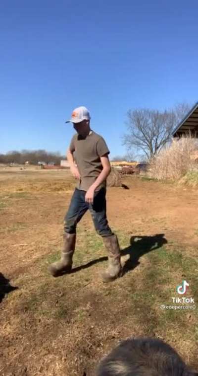 Pig ridin' 101