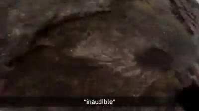 Owmahgodbobyualrei