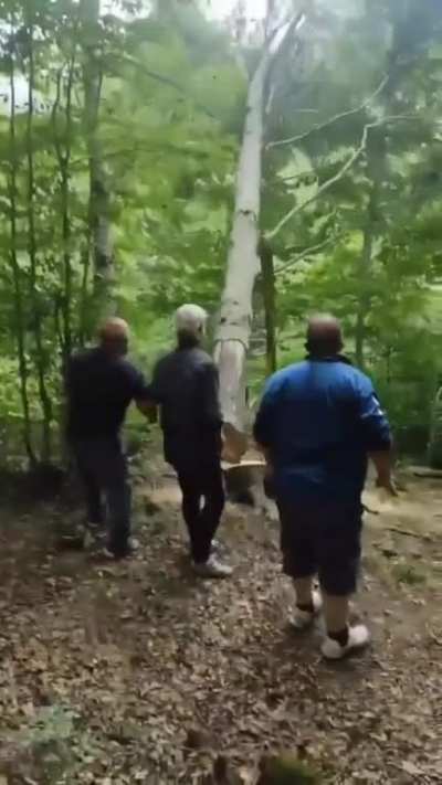 To cut down a tree