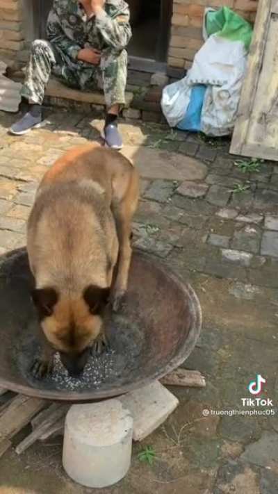 wtf
