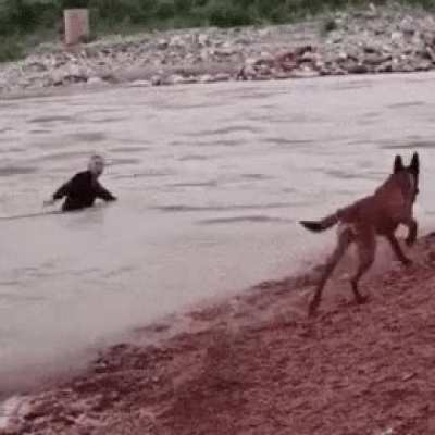 Go swim human