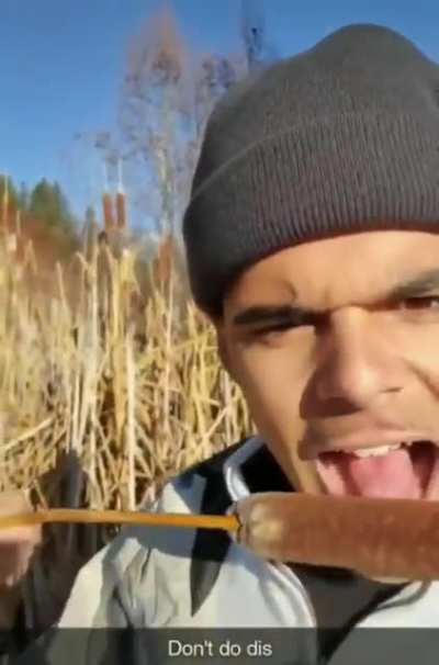 Organic Corndog
