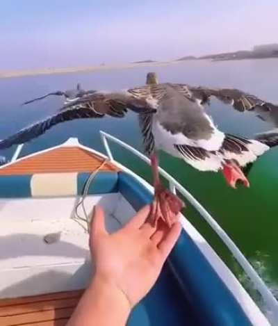 ? Air sopport