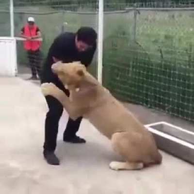 Hug