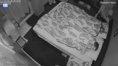 Rabbit wakes up owners in the middle of the night.