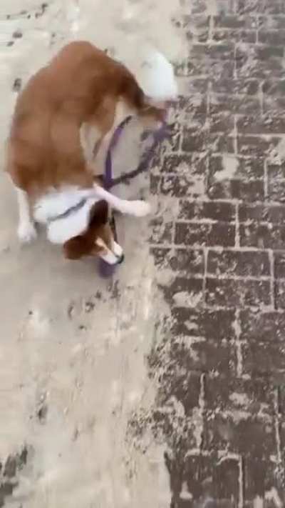So cute ?