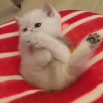 How cute ! ?