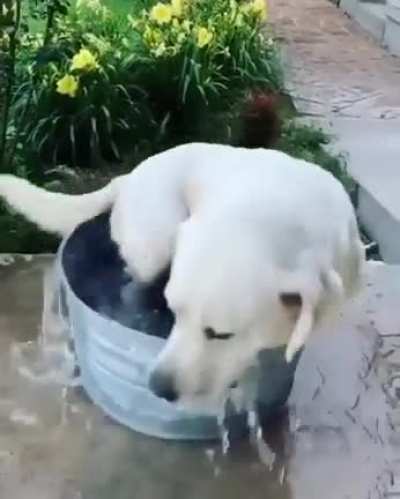 Thirsty boy.