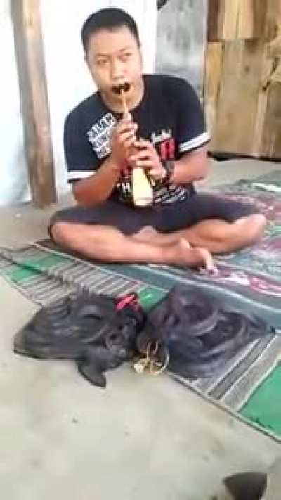 Snake charmer
