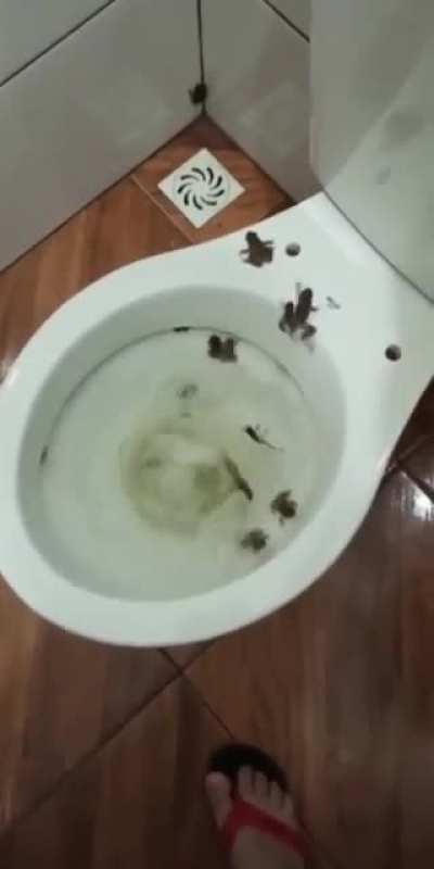What is this fear called