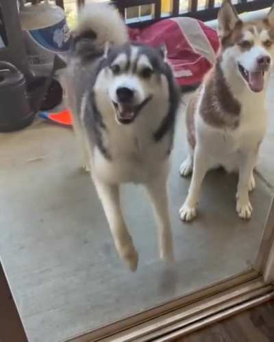 What a dance!