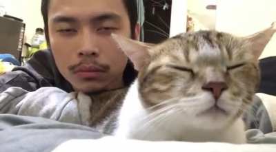Dude and his cat vibe out to Hotline Bling ???