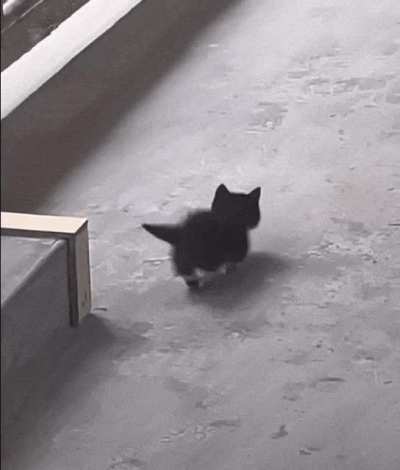Microscopic stalking the little one