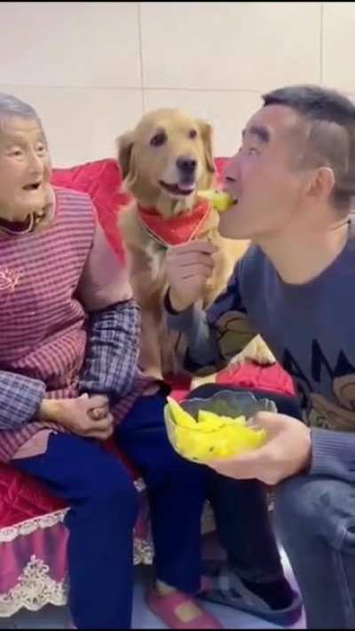 Don't you dare mess with grandma!