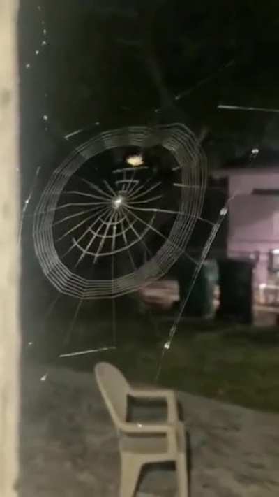perfect engineering