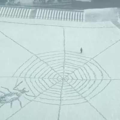 Pandemic, snowstorm and a very bored man ?