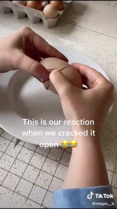 The egg came first !? ?