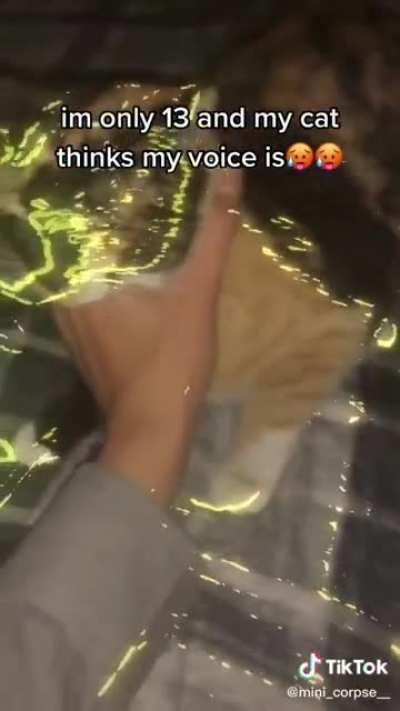 poor cat