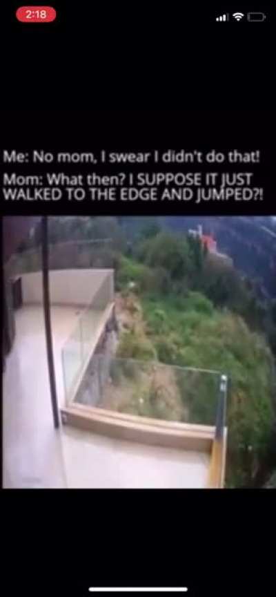 No mom. I didn’t do that. ?