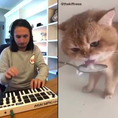 The Kiffness X NumNum Cat