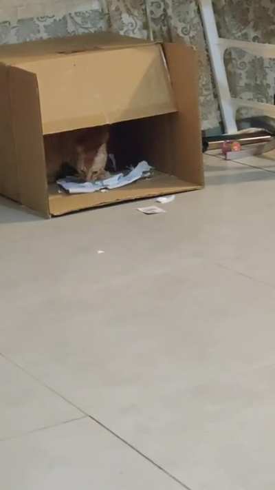 "What are you doing?"