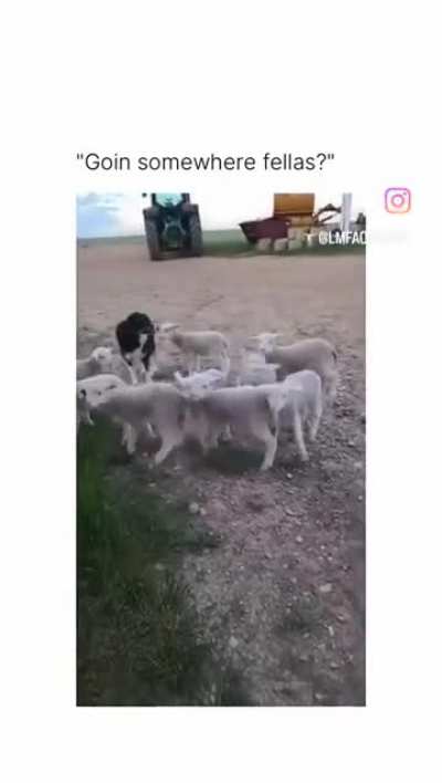 Bad behavior fellas!