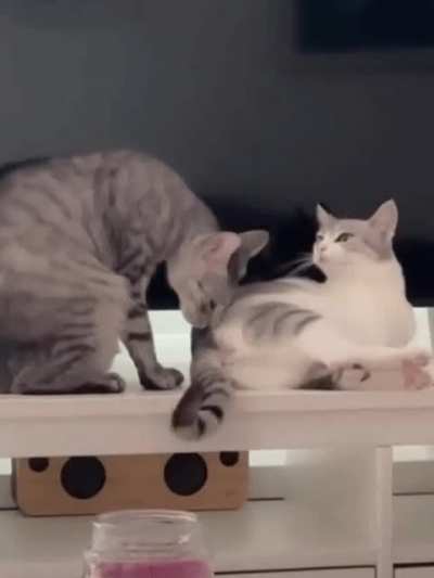 Maybe maybe maybe