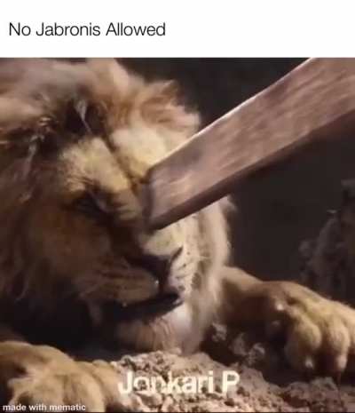 The Lion King Special Edition
