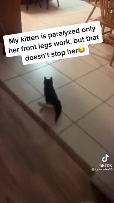 Am fast