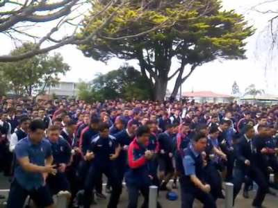 An entire school of bros