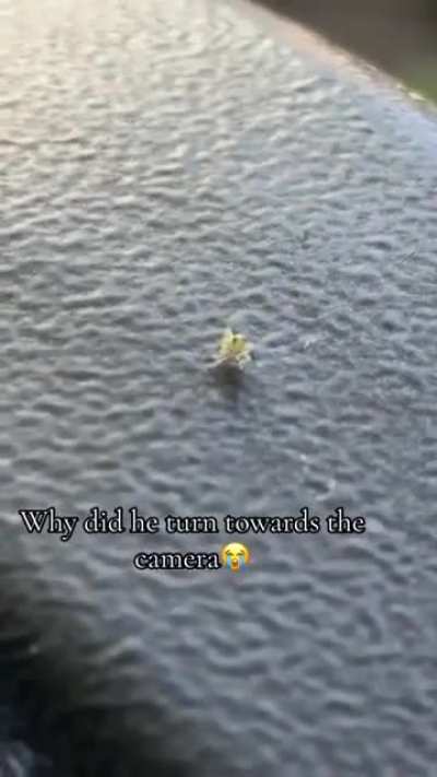 Why did he look straight at the camera ?