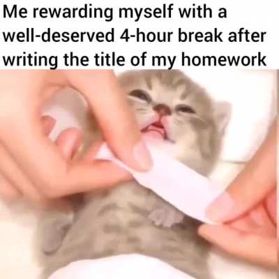 Kittens are so cute