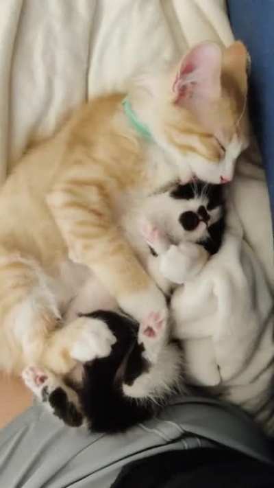 So Precious ♥️
