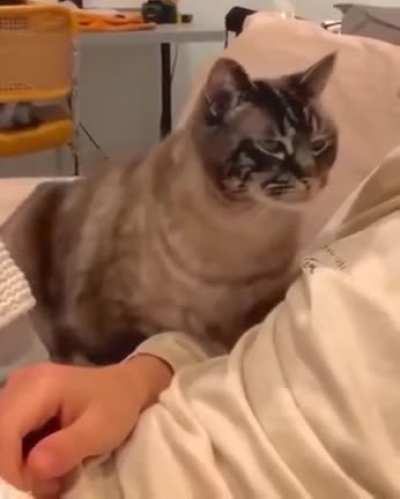 Melted