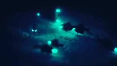 ? Out of This World Glowing Fish Eyes ?